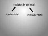 Būrų gyvenimo vaizdavimas 12 puslapis