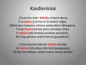 Būrų gyvenimo vaizdavimas 13 puslapis