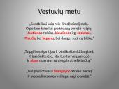 Būrų gyvenimo vaizdavimas 14 puslapis