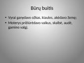 Būrų gyvenimo vaizdavimas 15 puslapis