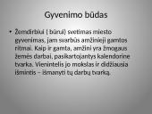 Būrų gyvenimo vaizdavimas 16 puslapis