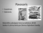 Būrų gyvenimo vaizdavimas 18 puslapis