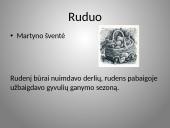 Būrų gyvenimo vaizdavimas 20 puslapis