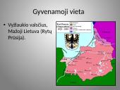 Būrų gyvenimo vaizdavimas 4 puslapis