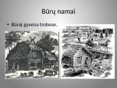Būrų gyvenimo vaizdavimas 5 puslapis