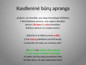 Būrų gyvenimo vaizdavimas 10 puslapis