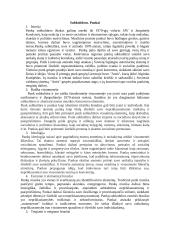 Subkultūros. Pankai