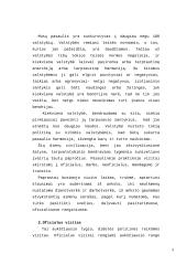 Tarptautinių vizitų vadyba. Jų rūšys. Priėmimo programa 3 puslapis