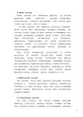 Tarptautinių vizitų vadyba. Jų rūšys. Priėmimo programa 5 puslapis