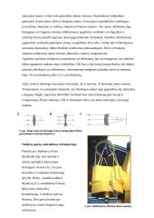 Teleskopai, jų rūšys, Molėtų observatorija 3 puslapis