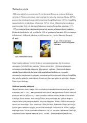 Teleskopai, jų rūšys, Molėtų observatorija 4 puslapis