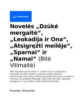 Bitės Vilimaitės novelių analizė