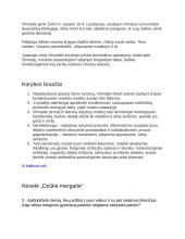 Bitės Vilimaitės novelių analizė 2 puslapis