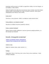 Bitės Vilimaitės novelių analizė 5 puslapis