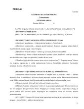 Uždarosios akcinės bendrovės steigimo procesas 13 puslapis