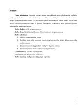 Uždarosios akcinės bendrovės steigimo procesas 3 puslapis