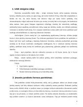 Uždarosios akcinės bendrovės steigimo procesas 4 puslapis