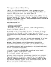 Romualdo Granausko kūrybos analizė 4 puslapis