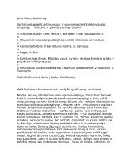 Romualdo Granausko kūrybos analizė 6 puslapis