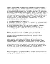 Romualdo Granausko kūrybos analizė 8 puslapis