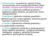 Angliavandeniai (monosacharidai, disacharidai ir polisacharidai) ir jų funkcijos 13 puslapis