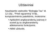 Angliavandeniai (monosacharidai, disacharidai ir polisacharidai) ir jų funkcijos 3 puslapis