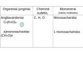 Angliavandeniai (monosacharidai, disacharidai ir polisacharidai) ir jų funkcijos 5 puslapis