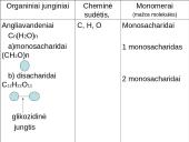 Angliavandeniai (monosacharidai, disacharidai ir polisacharidai) ir jų funkcijos 8 puslapis