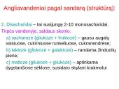 Angliavandeniai (monosacharidai, disacharidai ir polisacharidai) ir jų funkcijos 9 puslapis