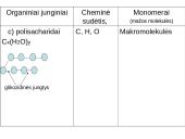 Angliavandeniai (monosacharidai, disacharidai ir polisacharidai) ir jų funkcijos 10 puslapis
