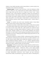 Vabzdžiai 12 puslapis