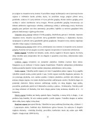 Vabzdžiai 13 puslapis