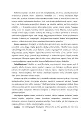 Vabzdžiai 14 puslapis