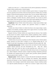 Vabzdžiai 20 puslapis