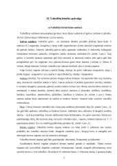 Vabzdžiai 5 puslapis