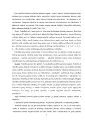 Vabzdžiai 7 puslapis