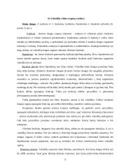 Vabzdžiai 9 puslapis