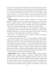 Vabzdžiai 10 puslapis