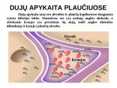 Pasyvioji ir aktyvioji pernaša 11 puslapis