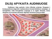 Pasyvioji ir aktyvioji pernaša 13 puslapis