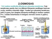 Pasyvioji ir aktyvioji pernaša 15 puslapis