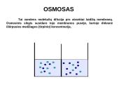 Pasyvioji ir aktyvioji pernaša 16 puslapis