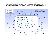 Pasyvioji ir aktyvioji pernaša 17 puslapis