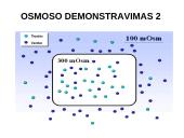 Pasyvioji ir aktyvioji pernaša 18 puslapis