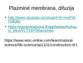 Pasyvioji ir aktyvioji pernaša 4 puslapis