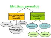 Pasyvioji ir aktyvioji pernaša 5 puslapis