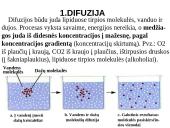 Pasyvioji ir aktyvioji pernaša 9 puslapis