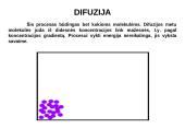 Pasyvioji ir aktyvioji pernaša 10 puslapis