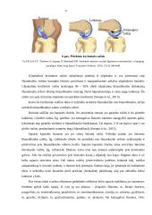 Kineziteipavimo poveikis vaikų kelio sąnario funkcijai, stabilumui, pusiausvyrai 9 puslapis