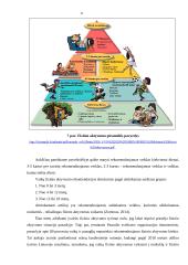 Kineziteipavimo poveikis vaikų kelio sąnario funkcijai, stabilumui, pusiausvyrai 11 puslapis